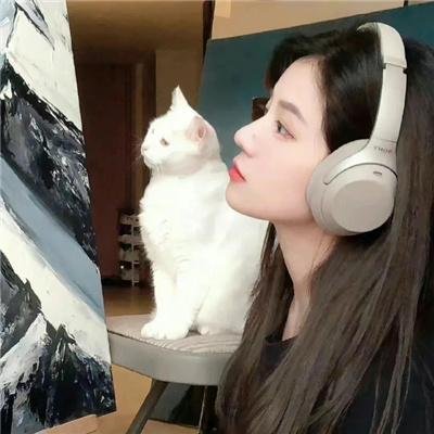 噪反